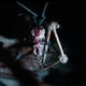 Neill Blomkamp's <i>Demonic</i> Movie Definitely Has Demons in It, I Guess?